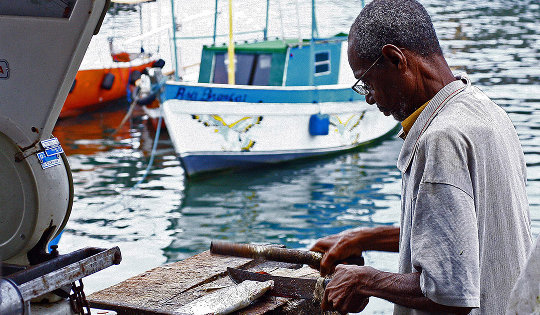 Feira de São Joaquim, Salvador -  BA